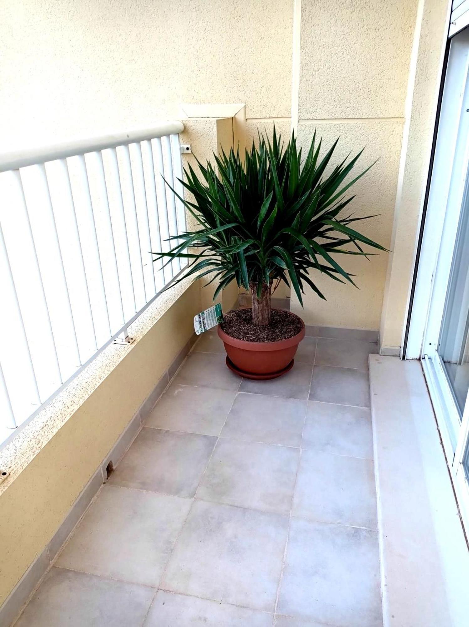 Apartamento Playasol デニア エクステリア 写真